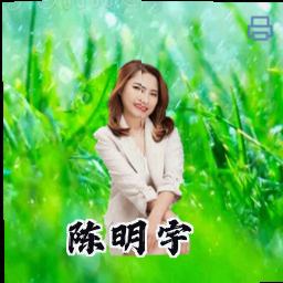 陈明宇